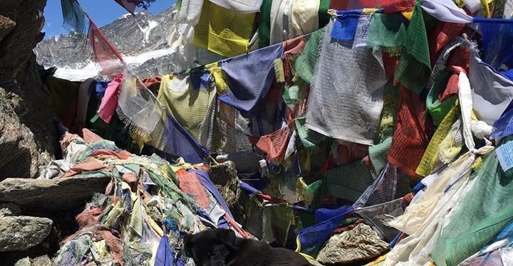 Starting the journey